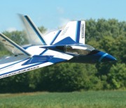Jet Vision DF 45 – Ein Modell mit markanten Schwenkflügeln