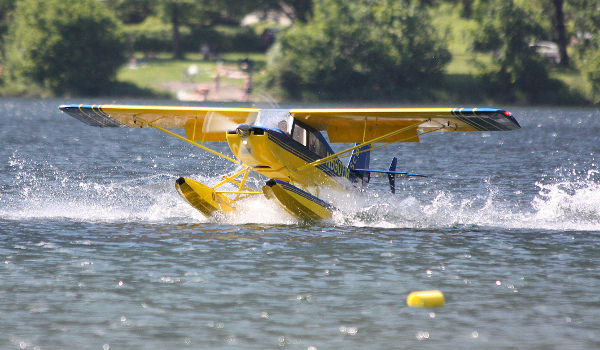 Wasserfliegen im Paradies