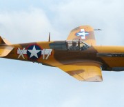 Vorbild-Dokumentation P-40 Warhawk