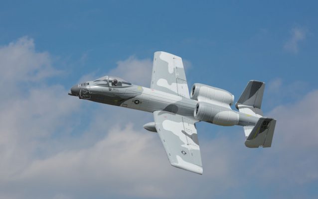 Warbird-Neuheiten: Welcher ist der schönste Vogel?